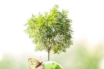 Green Hydrogen Policy Announced: India Takes First Major Step To Replace Fossil Fuels