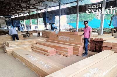 Central Province Teakwood the Choice for Ayodhya's Ram Mandir, Big Projects: What's Special About It?