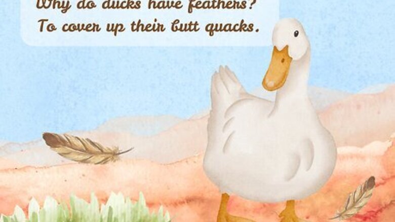 The 55+ Funniest Duck Jokes for Kids & Adults