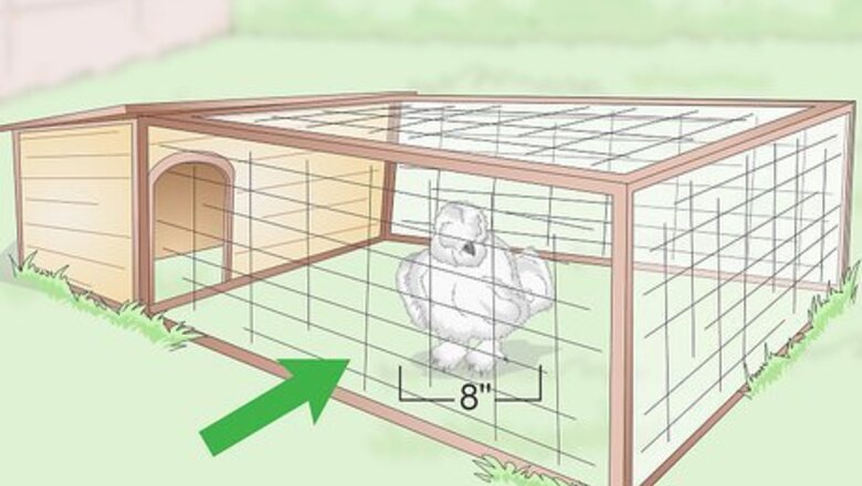 How to Care For Silkie Chickens