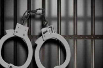 Delhi: FIR Against Man for Sexually Abusing Stray Dogs in Rajouri Garden