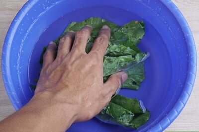 How to Eat Swiss Chard