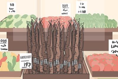 How to Use Burdock Root