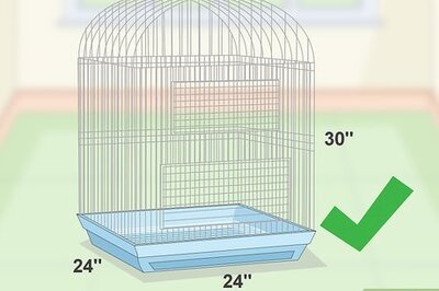 How to House a Hawk‐Headed Parrot