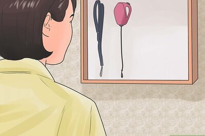 How to Train an Older Dog to Walk Calmly on a Leash