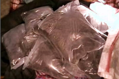 45 gelatine sticks seized in Namakkal