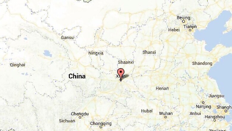 Hornet attacks leave 42 dead in China