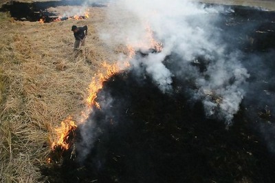 Toxic Air : Young Farmers Vs Old Guard on Crop Burning in Punjab, Haryana