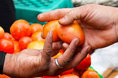 68% Houses Reduce Tomato Consumption Amid Price Hike, 14% Stop Buying: Report