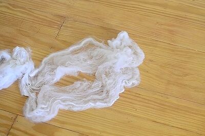 How to Put Up Fake Spider Webs