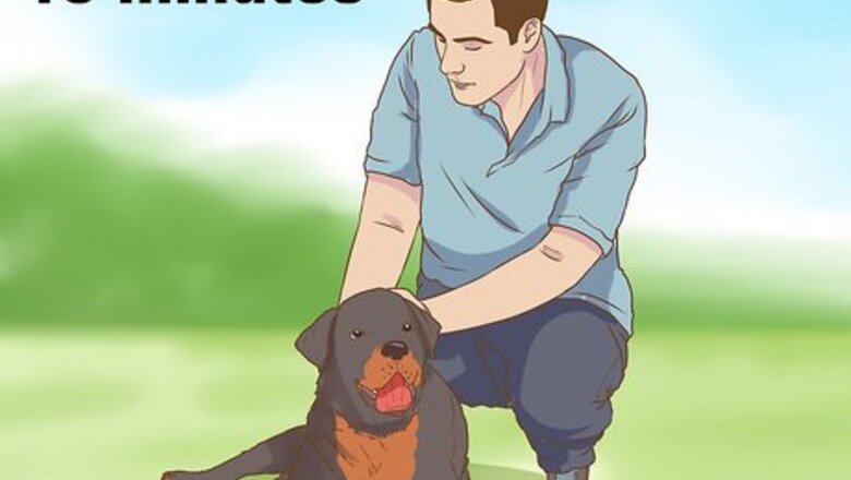 How to Help a Pet Grieve