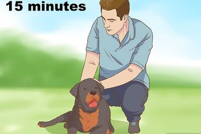 How to Help a Pet Grieve