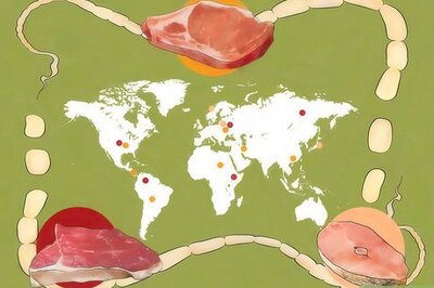 How to Get Rid of Tapeworms in Humans