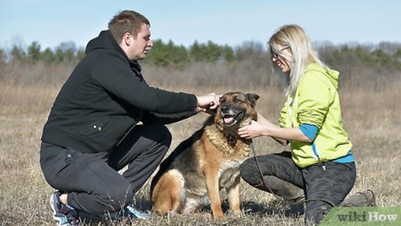 How to Use a Prong Collar on Dogs
