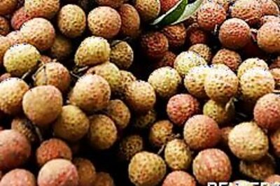 Bihar patenting Madhubani paintings, Shahi litchis