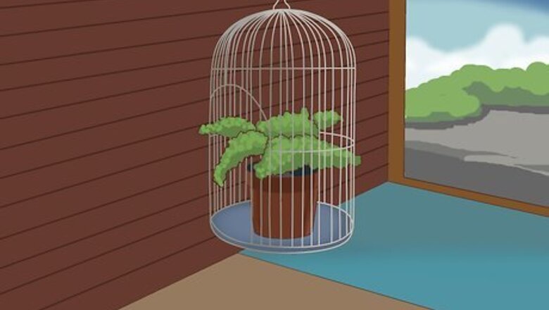 How to Decorate a Bird Cage