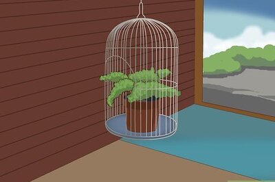 How to Decorate a Bird Cage