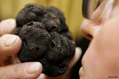 French truffle farmer detained for murder