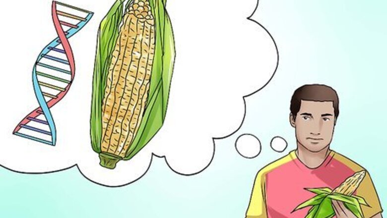 How to Buy Corn Commodities