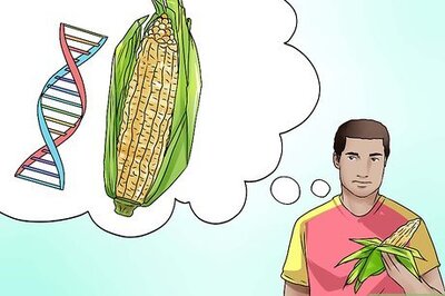 How to Buy Corn Commodities