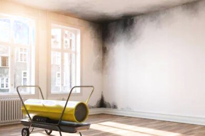 This Monsoon Season, Follow These Tips to Keep Your Walls Damage. Seepage-Free