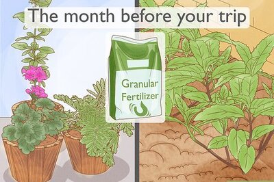 How to Keep Outdoor Plants Watered when You're on Vacation