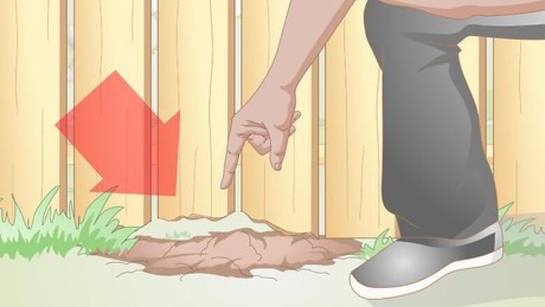 How to Prepare Your Yard for a Dog