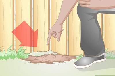 How to Prepare Your Yard for a Dog