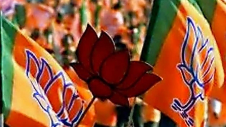 Delhi polls: BJP Union ministers, MPs given charge of constituencies