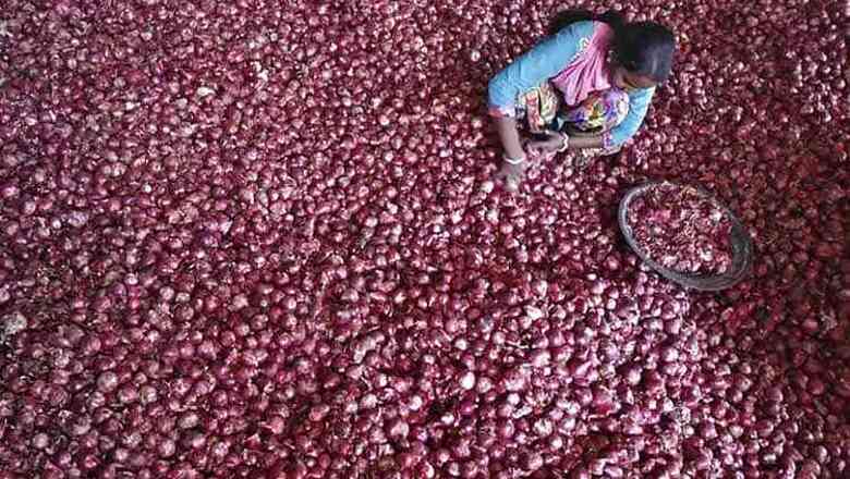 Wholesale onion prices jump to Rs 57 per kg at Lasalgaon