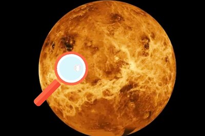 NASA Mulls Possible Mission To Venus After Recent Discovery of Possible Life