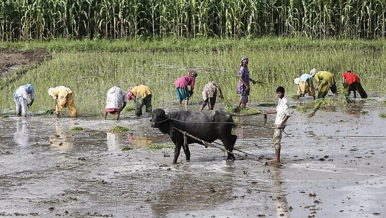 Ready with contingency plan to deal with poor Monsoon, assures Centre