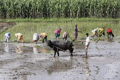 Ready with contingency plan to deal with poor Monsoon, assures Centre