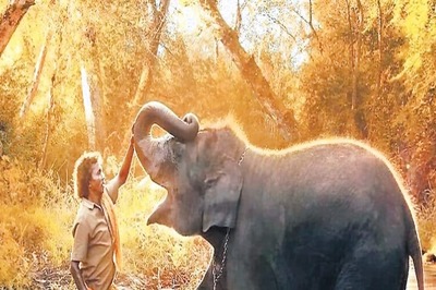 Days after Oscar for The Elephant Whisperers, Bomman And Bellie Get Another 'Trunk Call'