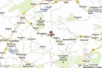 60 lakh saplings planted in three districts of Shahdol division