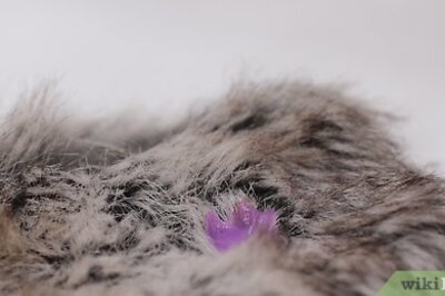 Simple Ways to Remove Slime from Surfaces & Clothing