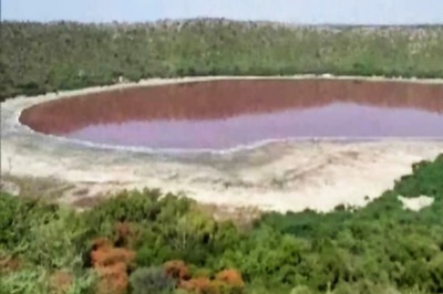 Maharashtra's Lonar Lake Turned Pink Due to 'Haloarchaea' Microbes, Reveals Probe