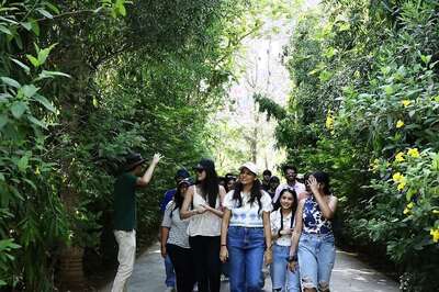 At Anant Ambani’s Vantara, Top MBA Students Explore, Gain Insights on Wildlife Conservation