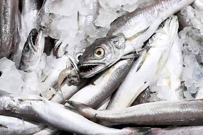 Formalin in Fish: Goa Govt May Ban Import if 'Impurities are Found'