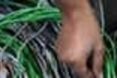 Shock burns cable thief beyond recognition