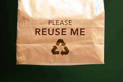 Paper Bag Day 2022: Wishes, Images, Greetings, Quotes, Messages and WhatsApp Greetings to Share