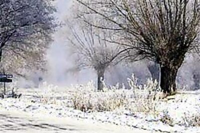 60 killed in Polish hall collapse