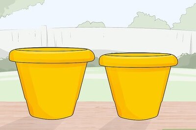 How to Make Concrete Flower Pots