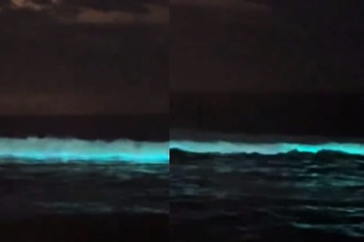 Chennai’s ECR Beach Glows Blue: Where Else Can You See Bioluminescence In India?