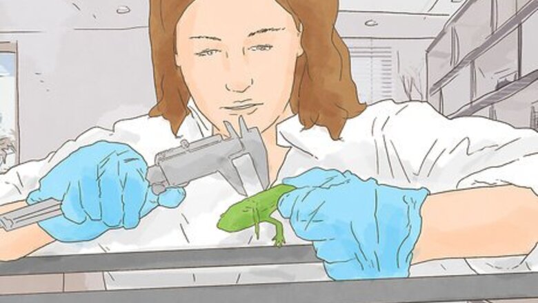 How to Find a Biotechnology Job