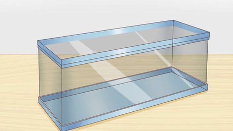 How to Care for an African Fat‐Tailed Gecko