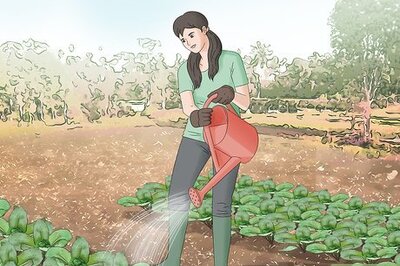 How to Become a Farmer Without Experience