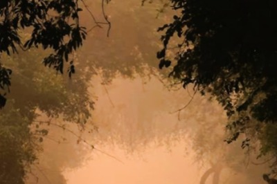 4 Must-Experience Jungle Safaris This Wildlife Week 2024