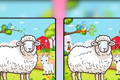 Spot 7 Differences In This Sheep-lamb Portrait In 15 Seconds