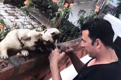 Akshay Kumar's Workout Session With Pugs Looks Like a Stress Buster
